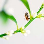 come essere produttivi