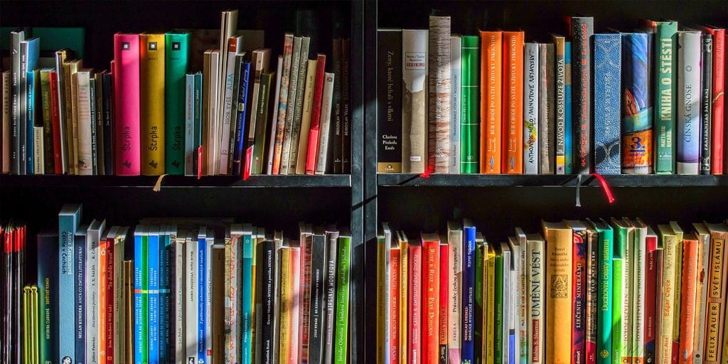 libri di team management