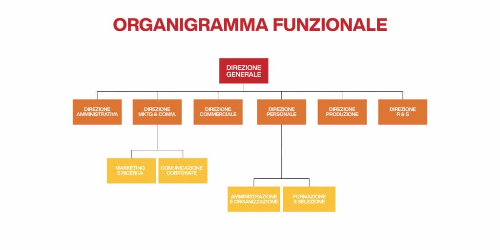 Organigramma Aziendale: Cos’è, Tipologie, Esempi E Come Funziona [2024]