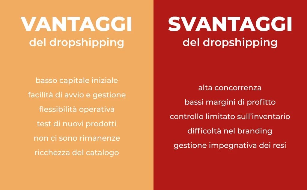vantaggi e svantaggi del dropsihpping